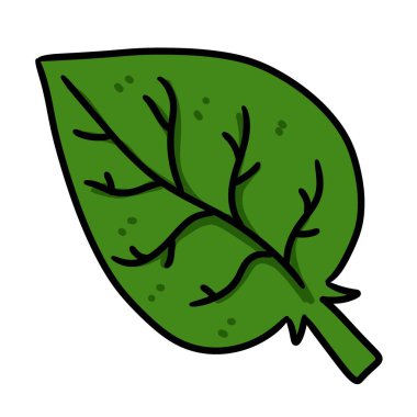 Yaprak bitkisi doğa simgesi grafik tasarımı