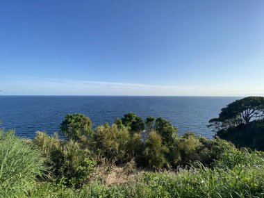 Adanın kıyı şeridi manzarası. 