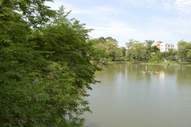 Güzel göl manzarası