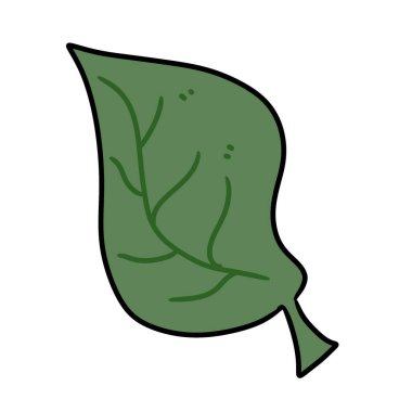 beyaz arkaplanda karalama yaprağı izole