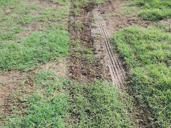 Ormanda toprak ve toprak izleri var..