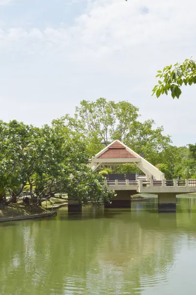 Çadırlı nehrin güzel manzarası