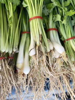 Bir demet taze beyaz kereviz.