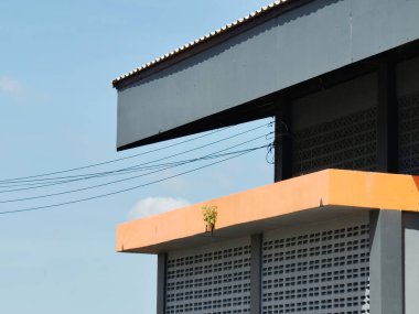 Evin turuncu çatısı..