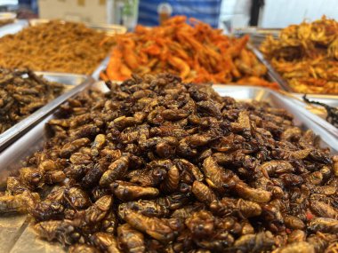 Markette kızarmış saman kurdu.