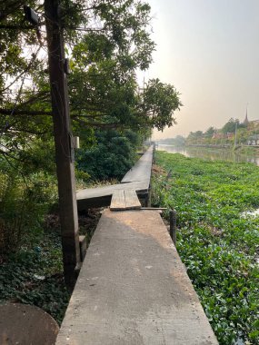 Parktaki nehir manzarası