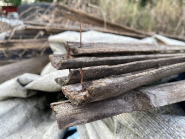 Ormanın içinde Kuru odun