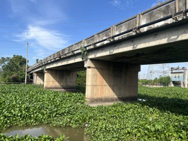 Tayland 'daki köprünün manzarası