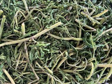 Yemek yapmak için taze su mimozası.