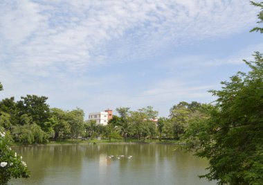 Nehir ve ağaçların manzarası