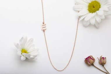 Mücevher fotoğrafçılığı ve kadın mücevher konsepti. Kolye, küpe, yüzük ve bilezik resimleri..