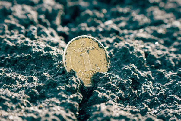 stock image Ukrainian coin one hryvnia lies in the black soil.