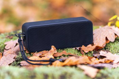 Yosun kaplı bir kütükte müzik dinlemek için taşınabilir kablosuz hoparlör..