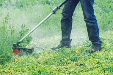 Bahçıvan bahçede bir budama makinesiyle çimleri biçer..