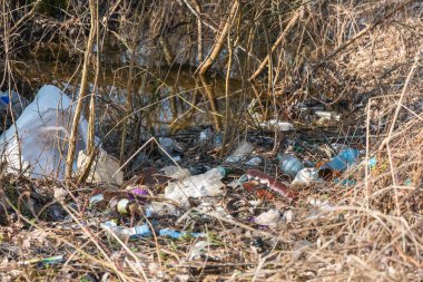 Doğadaki yasadışı çöplük. Kirli çöp çevreyi kirletiyor.
