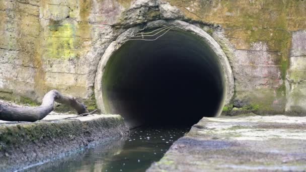 Kanalizasyon Borusu Tahsildardan Kanalizasyon Akışı Çevre Kirliliği — Stok video