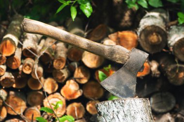 Kütüğünde tahta sapı olan paslı eski bir balta..