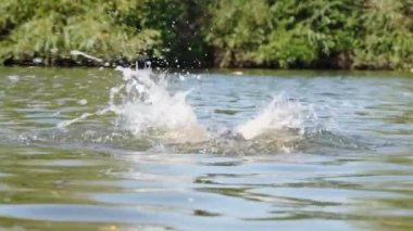 Küçük kızı gölde boğmak. Yüzme bilmeyen çocuk başıboş bırakılmış.