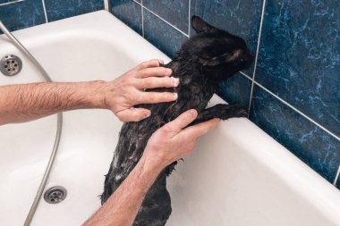 Siyah bir kediyi banyoda yıkıyorum..