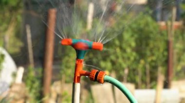 Bahçede gün batımında meyve ve sebzeleri sulayan bir bahçe. Dönen fıskiyeli bahçe sulama sistemi