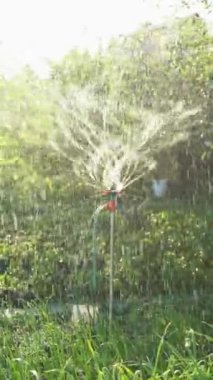 Bahçede gün batımında meyve ve sebzeleri sulayan bir bahçe. Dönen fıskiyeli bahçe sulama sistemi