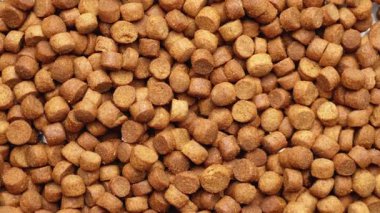 Kediler ve köpekler için kurutulmuş hayvan maması. Arkaplan dokusu