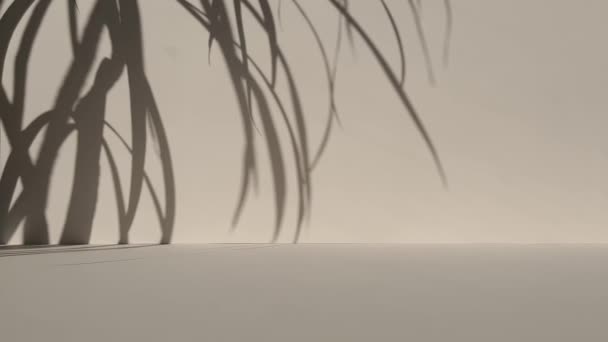 米色背景和棕榈阴影 产品促销 美容美发 — 图库视频影像