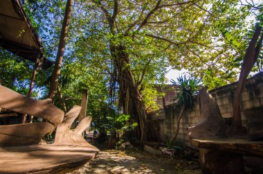 Merkezinde büyük bir ağaç ve yeşilliklerle çevrili ahşap koltuklu doğal bir ortam.