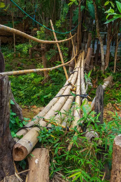 Bambu köprüsü, doğal ortamda küçük bir boşluğu ya da akıntıyı aşmak için kullanılan birkaç bambu direğinden yapılmıştır..