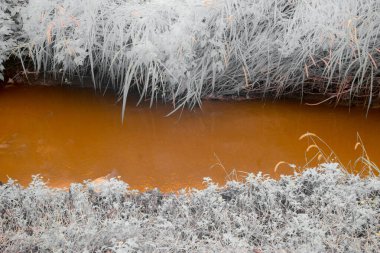 Infrared photography, a narrow stream surrounded by vegetation clipart