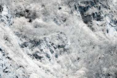 Kızılötesi fotoğrafçılık, kayalık, dağlık arazi bitkilerle kaplı.