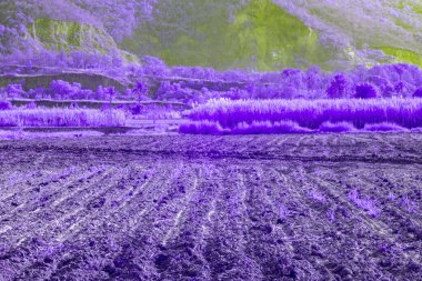 Infrared photography, a field in a vibrant, otherworldly hue. The foreground is dominated by a freshly tilled plot of land clipart