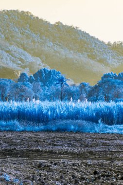 Infrared photography, a landscape featuring a plowed field in the foreground, with rows of tilled soil clipart