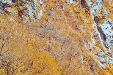 Kızılötesi fotoğrafçılık, kayalık, dağlık bir manzara. Kahverengi ve sarı tonların çeşitli tonlarını barındırıyor.