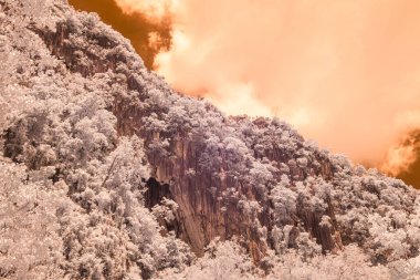 Kızıl ötesi etki, dağların tepesinde gökyüzü olan ağaçlarla kaplı dağlık bir manzara turuncu renktedir.