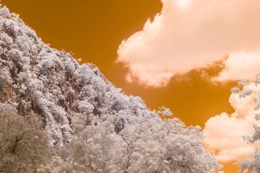 Kızıl ötesi etki, dağların tepesinde gökyüzü olan ağaçlarla kaplı dağlık bir manzara turuncu renktedir.