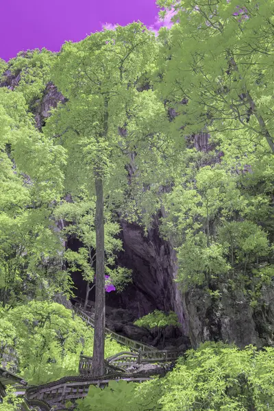 Kızılötesi etki, kıvrımlı yolu olan yemyeşil bir manzara. Yolu çevreleyen uzun ağaçlar ve arka planda gözle görülür bir mağara girişi var.