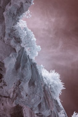 A stark, infrared photograph depicts a rocky cliff face, dramatically angled against a reddish-brown sky, with small, vibrant white trees clinging to the steep incline clipart