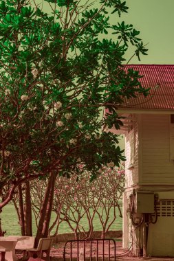 Infrared photography, a tranquil seaside scene features a white house partially obscured by lush greenery and a stone bench, near calm waters clipart