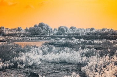 Kızılötesi fotoğrafçılık, bitki örtüsüyle çevrili bir su kütlesinin yer aldığı bir manzara. Gökyüzü canlı turuncu bir renktir.