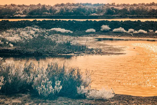 Kızılötesi fotoğrafçılık, bir su kütlesi ve altın gökyüzünü yansıtan bir manzara. Gökyüzü ve su, sert beyaz ya da açık gri yapraklar ve kara ile çelişiyor.