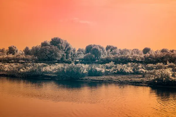 Kızılötesi fotoğrafçılık, sakin bir nehir sahnesi ağaçlar ve yapraklar kıyılarda.