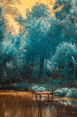 Infrared photography, a serene outdoor scene featuring a small, partly submerged structure situated near a still body of water clipart