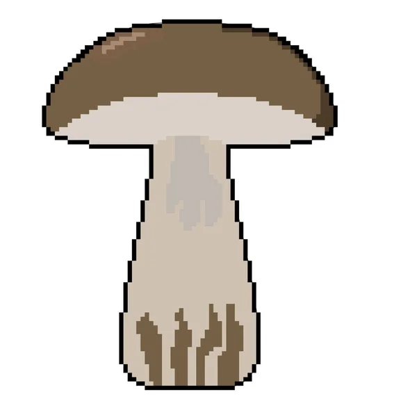 Pixel Color Icon Vegetable Mushroom Porcini Mushroom Champignon Can Also — Stock Vector