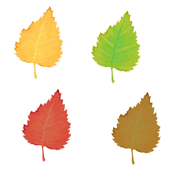 Коллекция Векторных Цветных Березовых Листьев Выделена Белом Фоне Березовые Листья — стоковый вектор