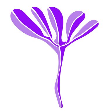 Eko ikon çiçeği, mor yapraklarla izole edilmiş. 5 yaprak. Vektör illüstrasyonu beyazda izole edildi.