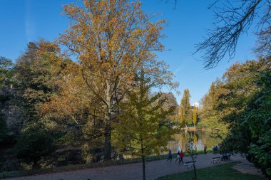 Park des Buttes Chaumont. Güzel bir ağacın yakın çekimi.