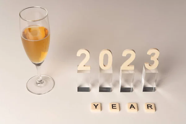 A woman wishes you a New year 2023 with a glass of champagne