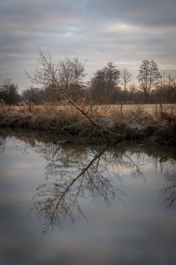 Sunset in a garden near the river with trees, fields and reflection in the water