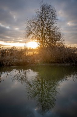 Sunset in a garden near the river with trees, fields and reflection in the water